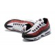 Nike Air Max 95 TT Bordeaux Red Black (M) Sneakers CJ3906 104