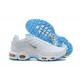 Nike Air Max Plus Tn White Blue (M) Sneakers